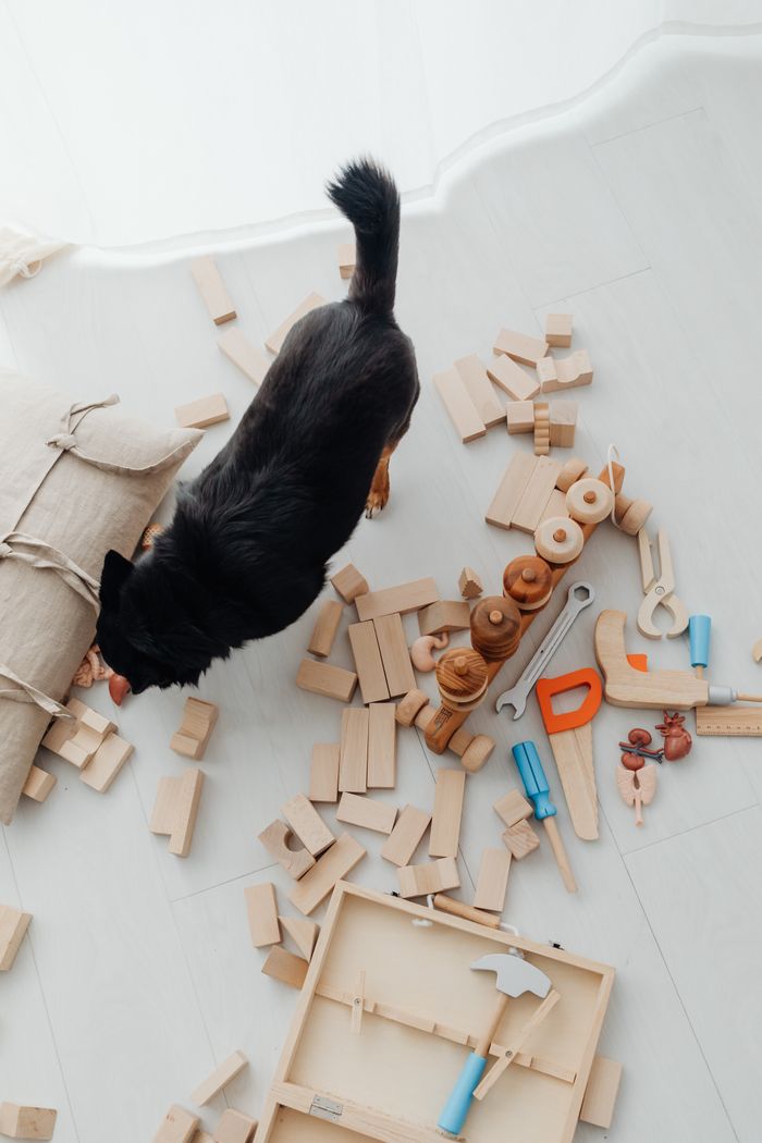 Top view of a dog amidst scattered wooden toy blocks on the floor indoors.
