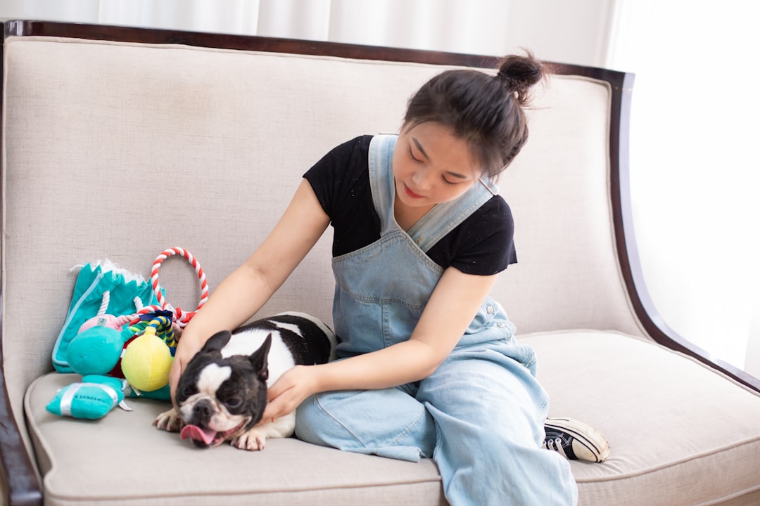 The Art of Drawing Readers In: Your attractive post title goes here woman-pets-a-boston-terrier-on-a-sofa-owokb2attuu